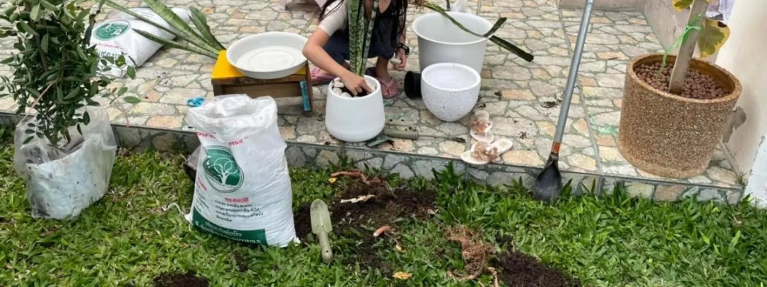 ✦ย้ายต้นไม้ลงกระถาง