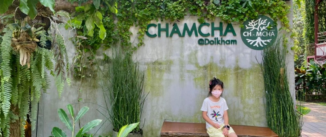 ◾️ CHAMCHA @ ดอยคำ&nbsp;[หางดง]