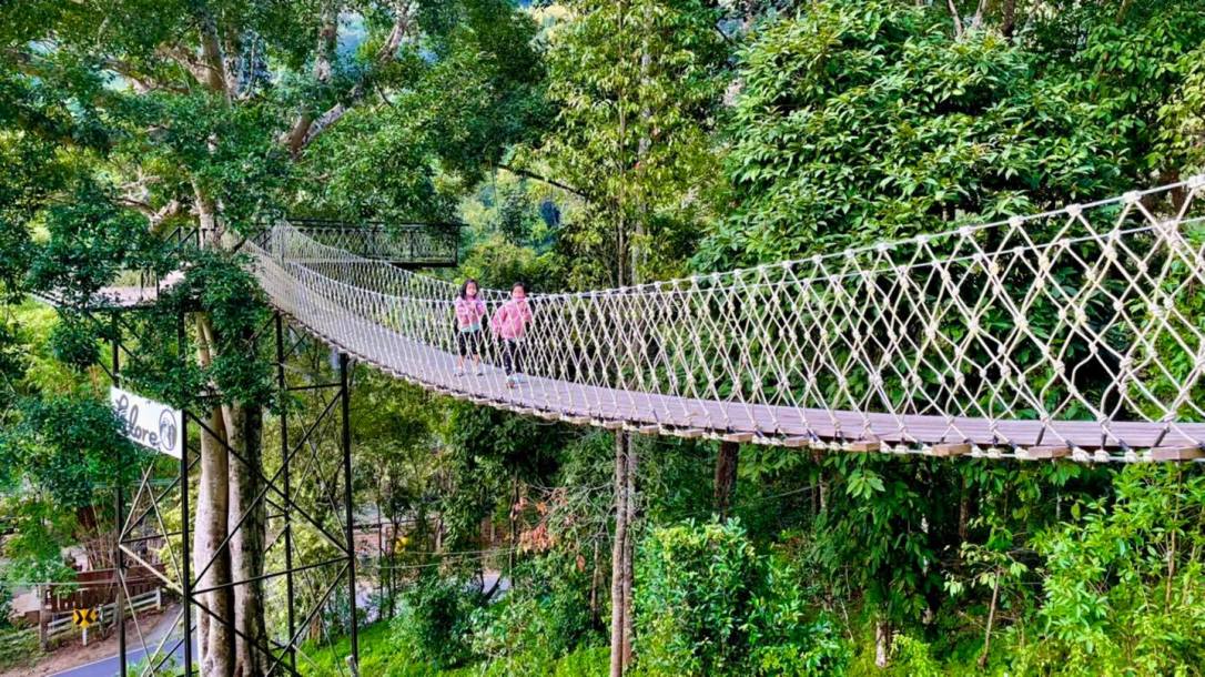 Palore Coffee and Tea&nbsp;House