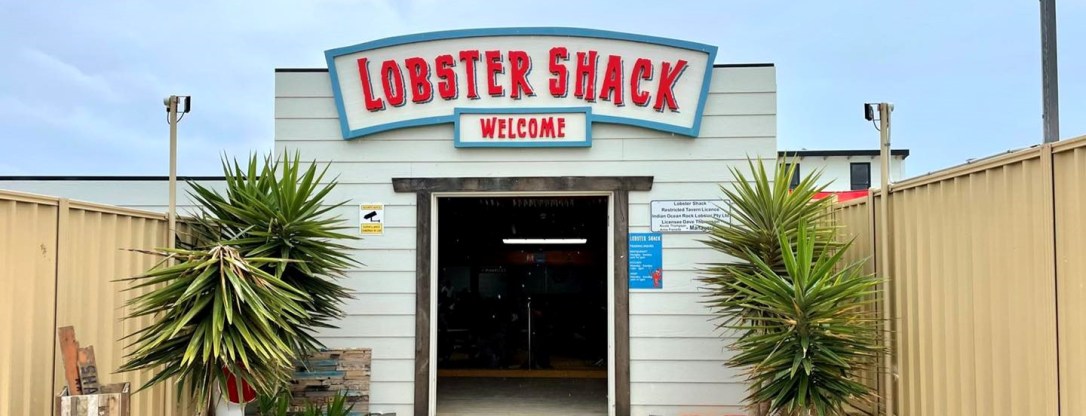 ◾️ Lobster Shack โรงงานล็อบสเตอร์