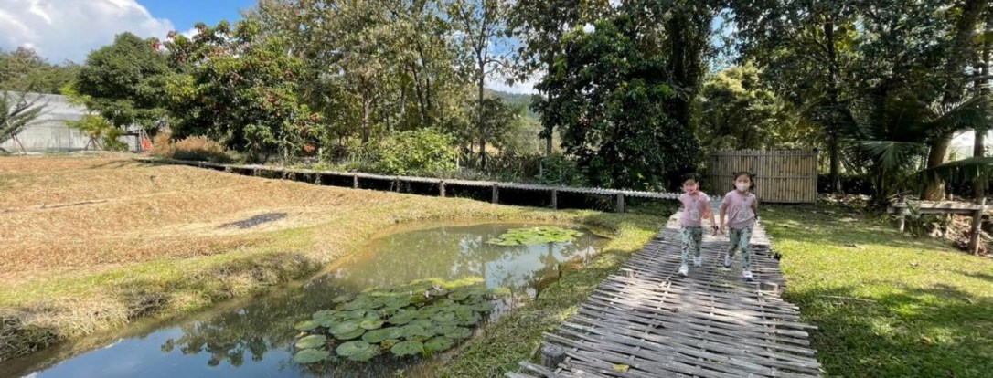 ◾️ Pan’s Farm&nbsp;แบ่งปันฟาร์ม