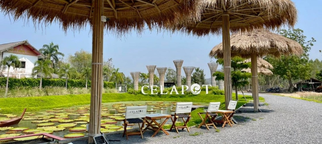 ◾️ Celapot Cafe X Gallery&nbsp;[ดอยสะเก็ด]