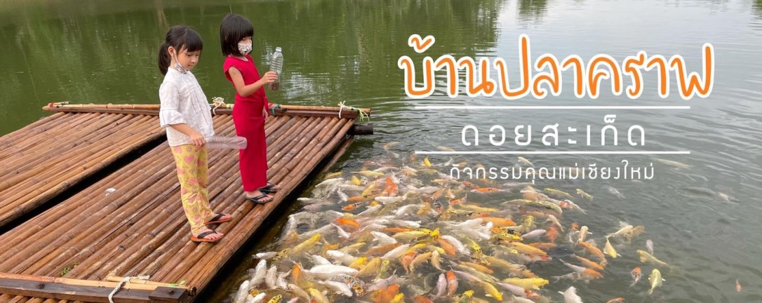 ◾️ บ้านปลาคราฟ ดอยสะเก็ด