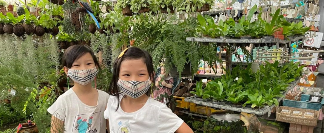 ✦ จัดสวนถาด