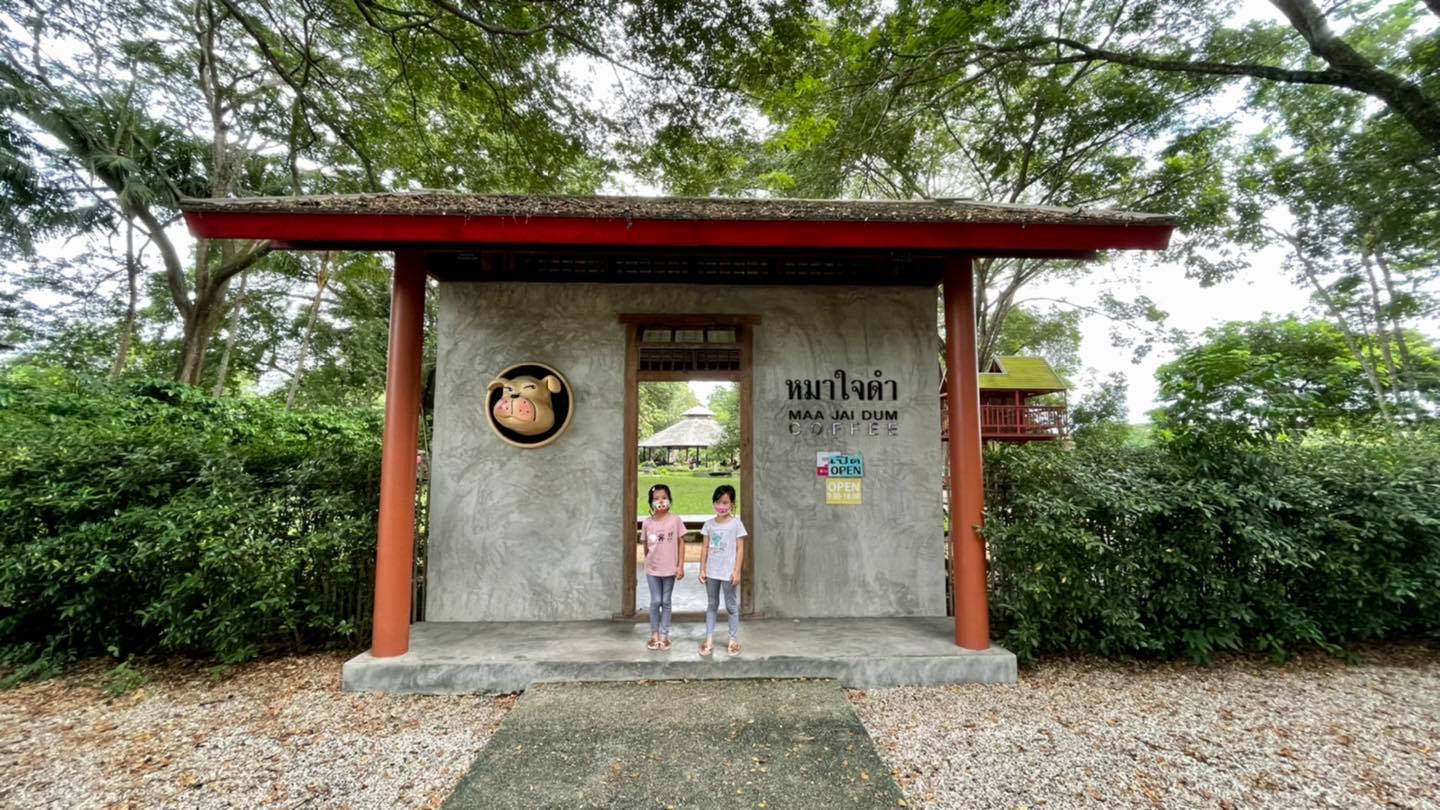 หมาใจดำ หมาใจดำ