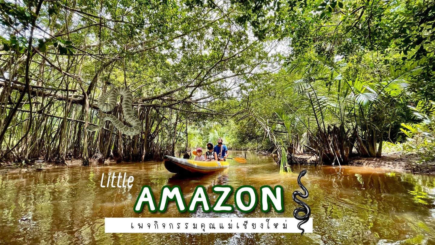 ◾️ Little Amazon&nbsp;[พังงา]