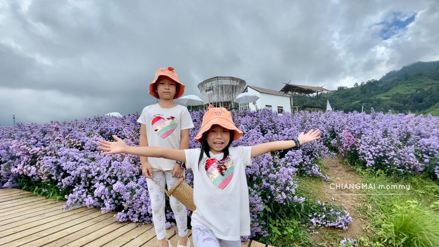 ◾️ สวนดอกไม้ป้างฮวาและสวนส้ม [แม่ริม]