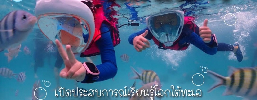 ◾️ ดำน้ำ @แสมสาร&nbsp;ชลบุรี