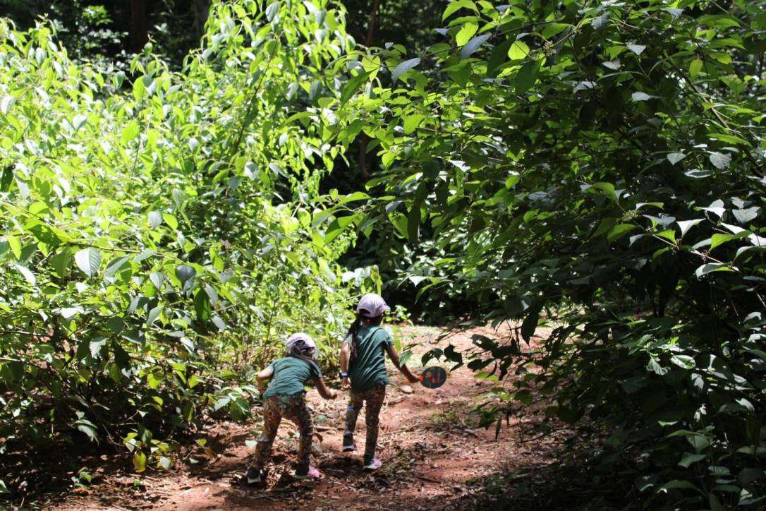 เดินป่าลำห้วยอุโมงค์