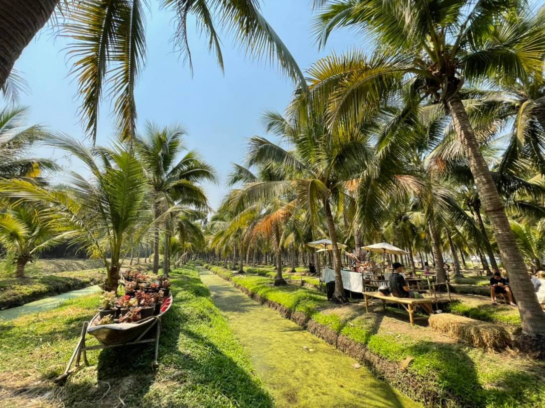 กาดบะป๊าว