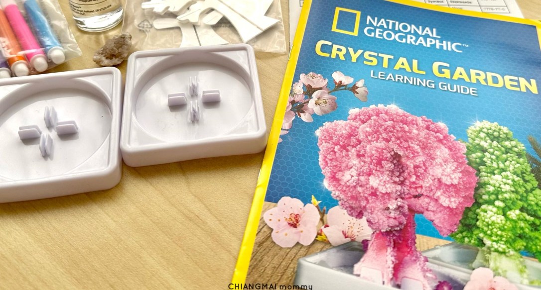 ✪ ของเล่นแนววิทยาศาสตร์ Crystal&nbsp;Garden