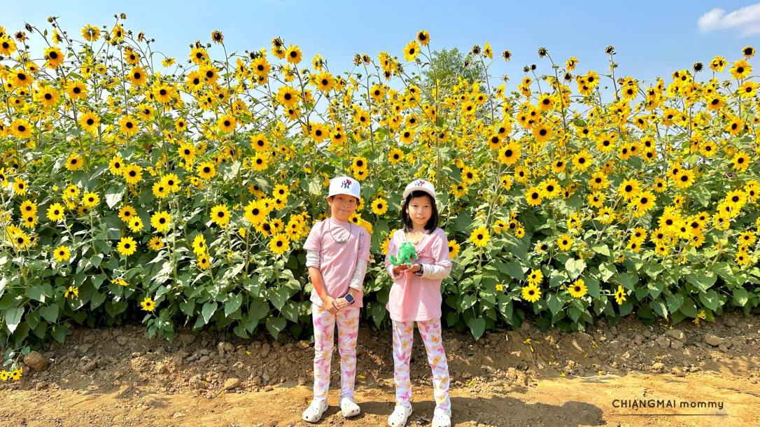 AGA Flower Show ปี 2023