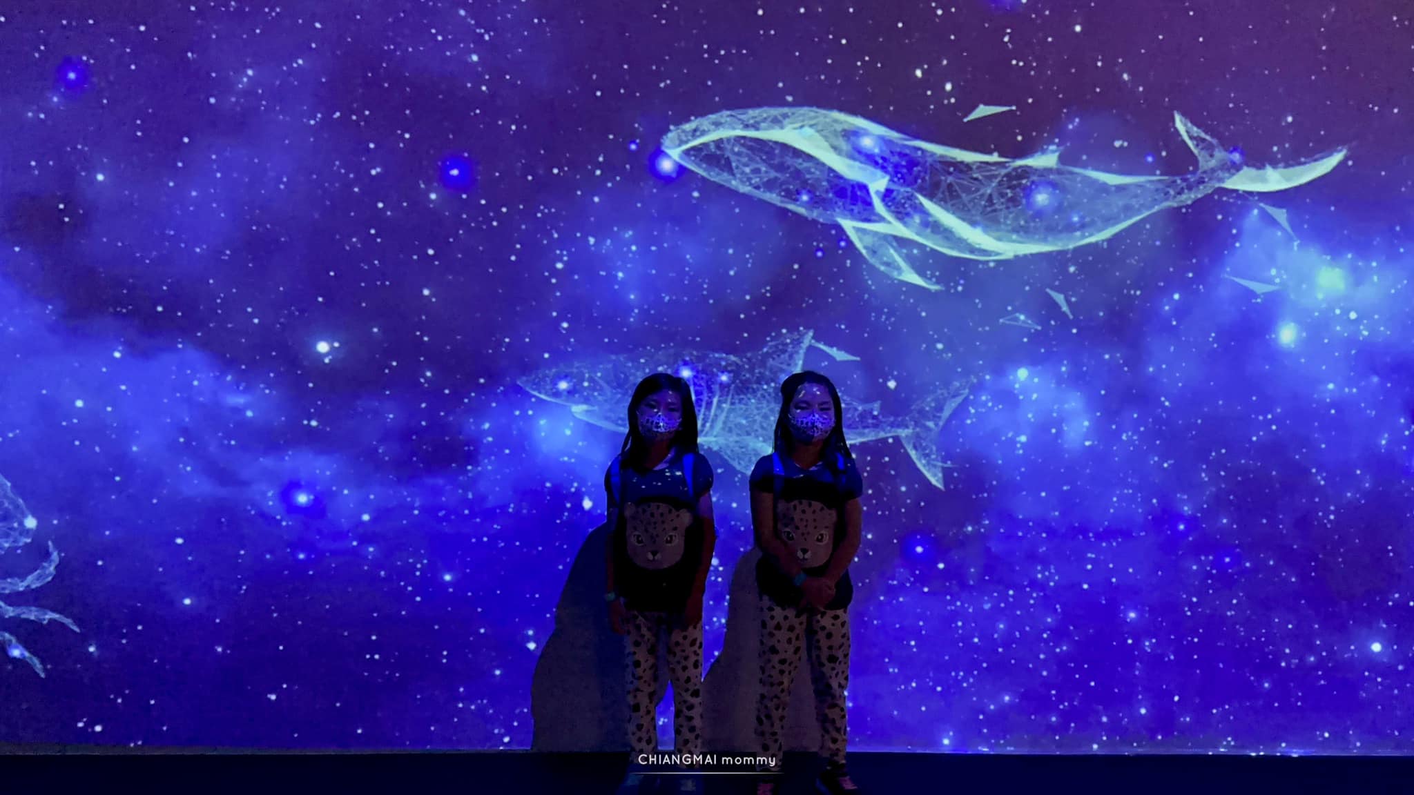 Cube O Discovery&nbsp;Park