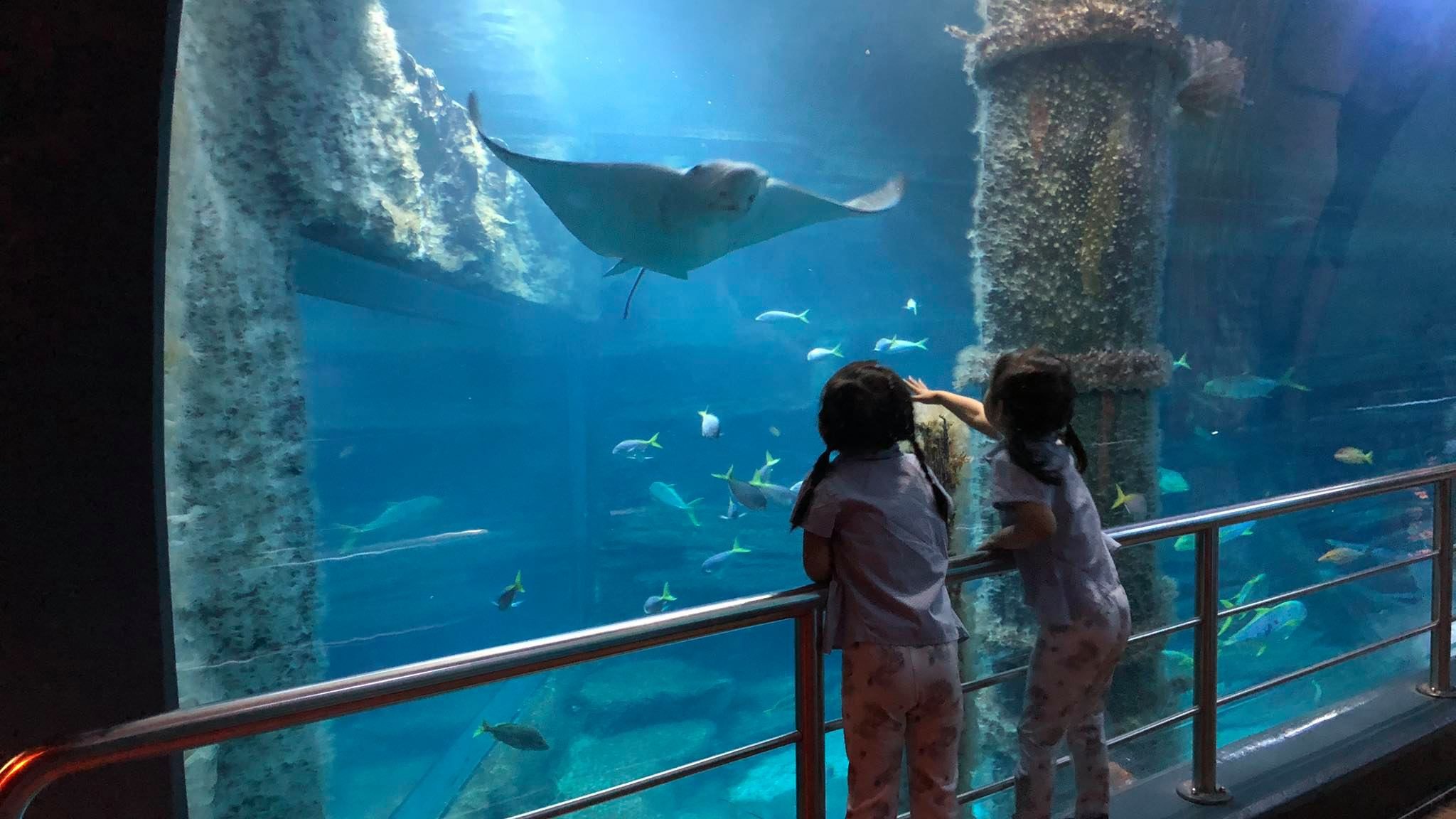 ◾️ SeaLife Melbourne