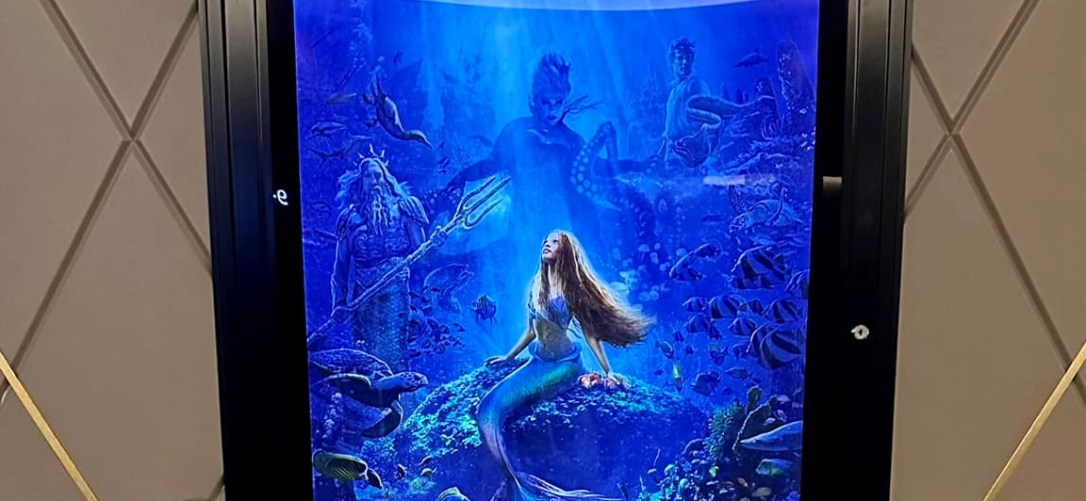 ✪ The little Mermaid