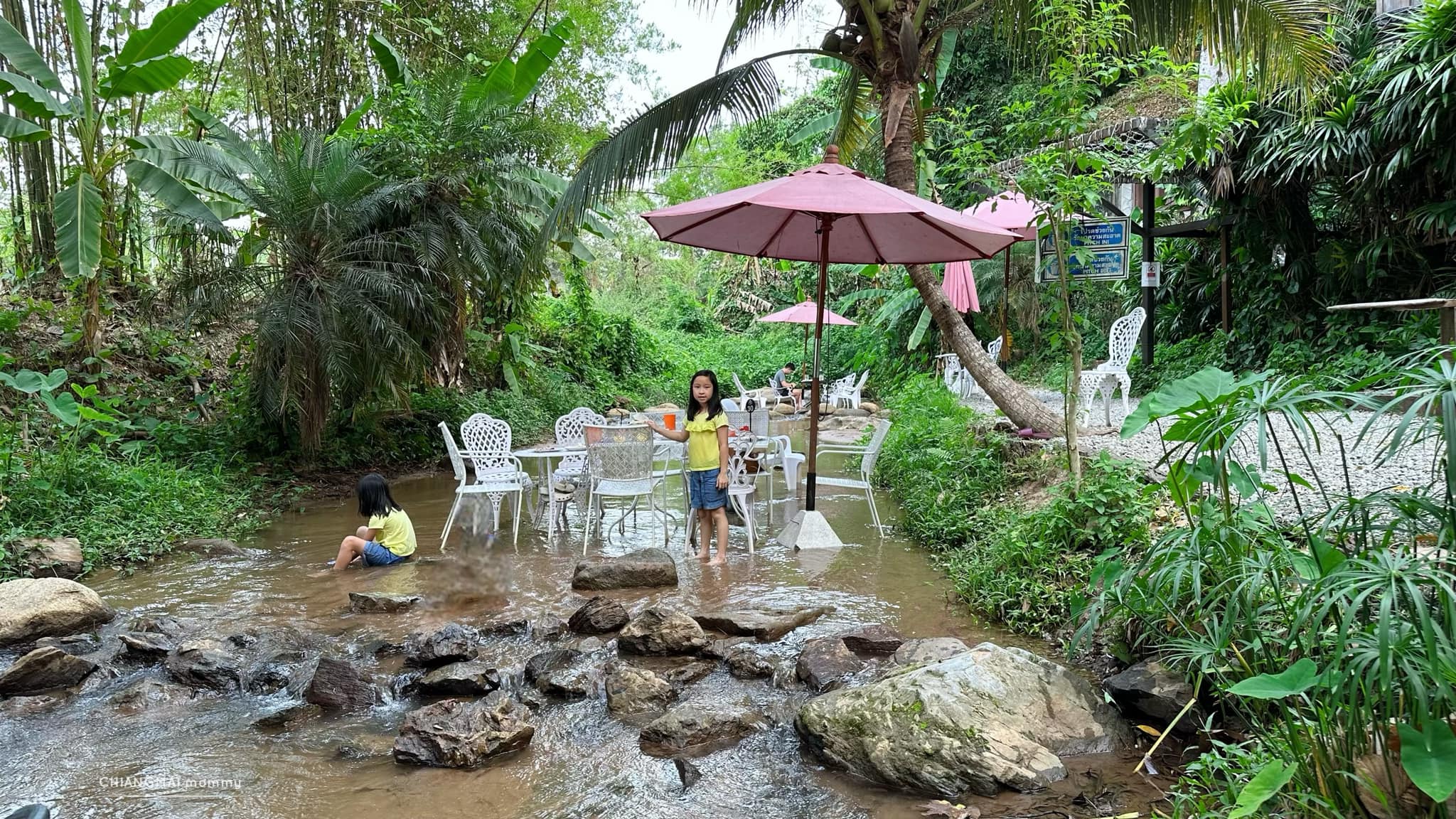 ◾️ Zombie Cafe [ แม่ริม&nbsp;]