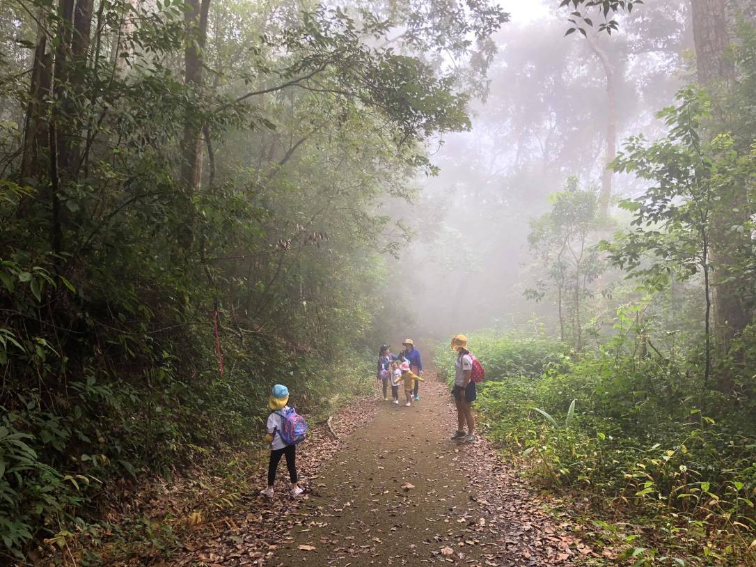 เดินป่าดอยปุย