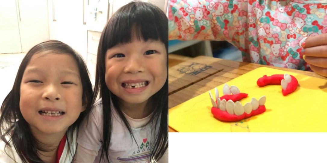 ✦ เหงือกและฟัน