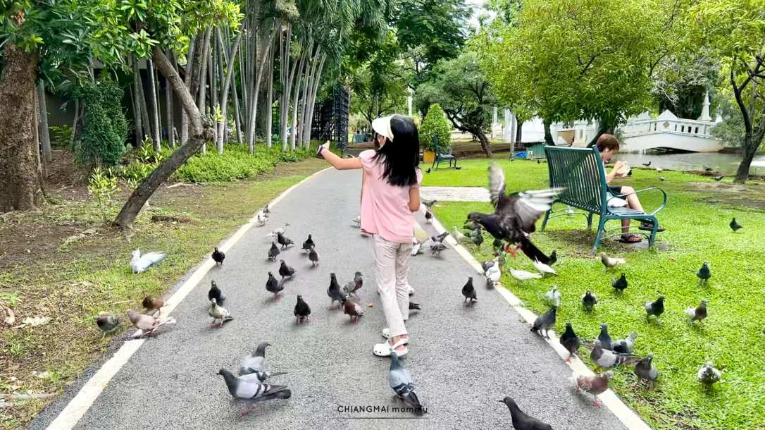 สวนสาธารณะหนองบวกหาด