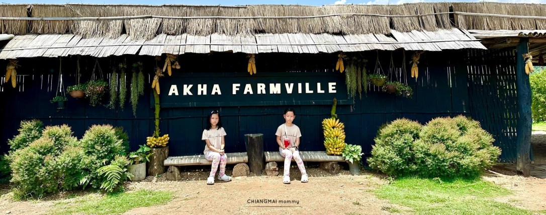 ◾️ ฟาร์มแกะอาข่า