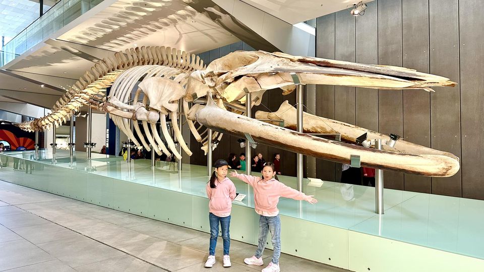 ◾️ Melbourne 2023 Day&nbsp;5