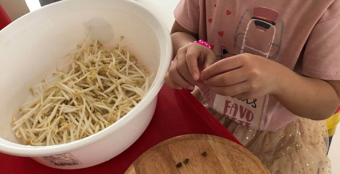 ✦ ล้างถั่วงอก