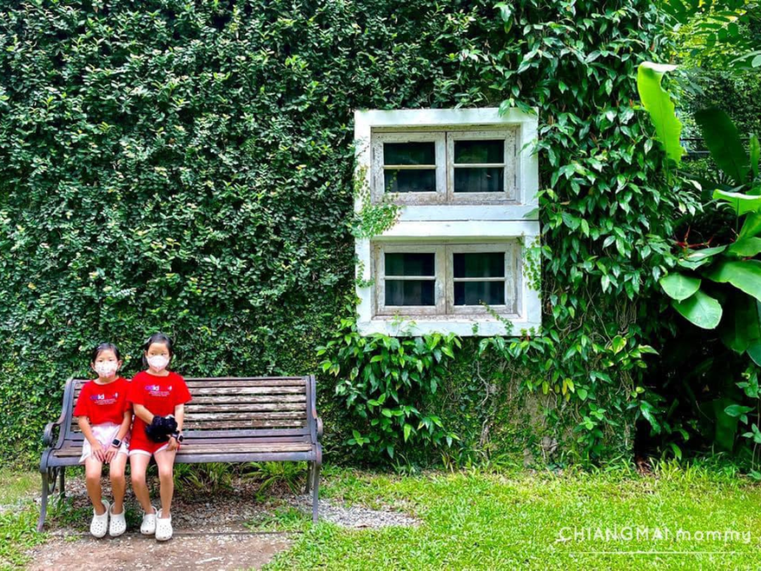 คาเฟ่โรงบ่ม เก๊าไม้ล้านนา🌿