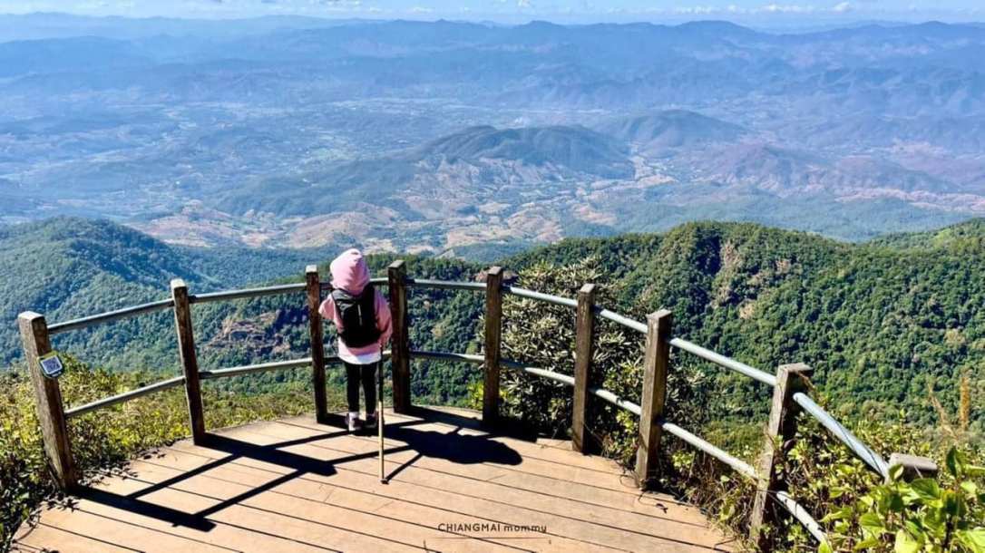 เดินป่าดอยอินทนนท์