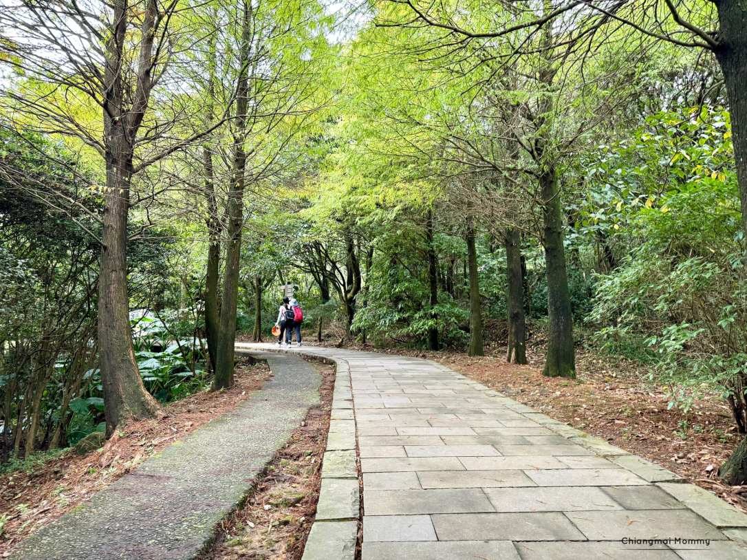 Lengshuikeng-Qingtiangang Trail