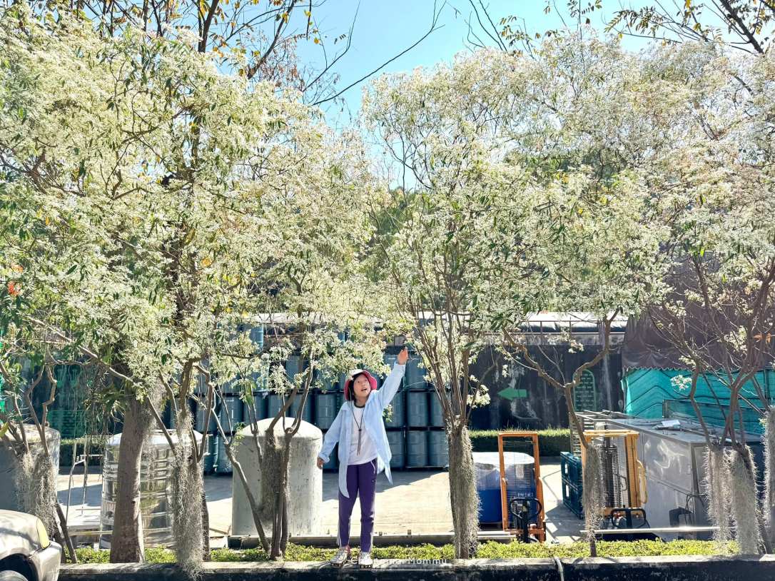 พิพิธภัณฑ์โรงงานหลวงที่ ๑