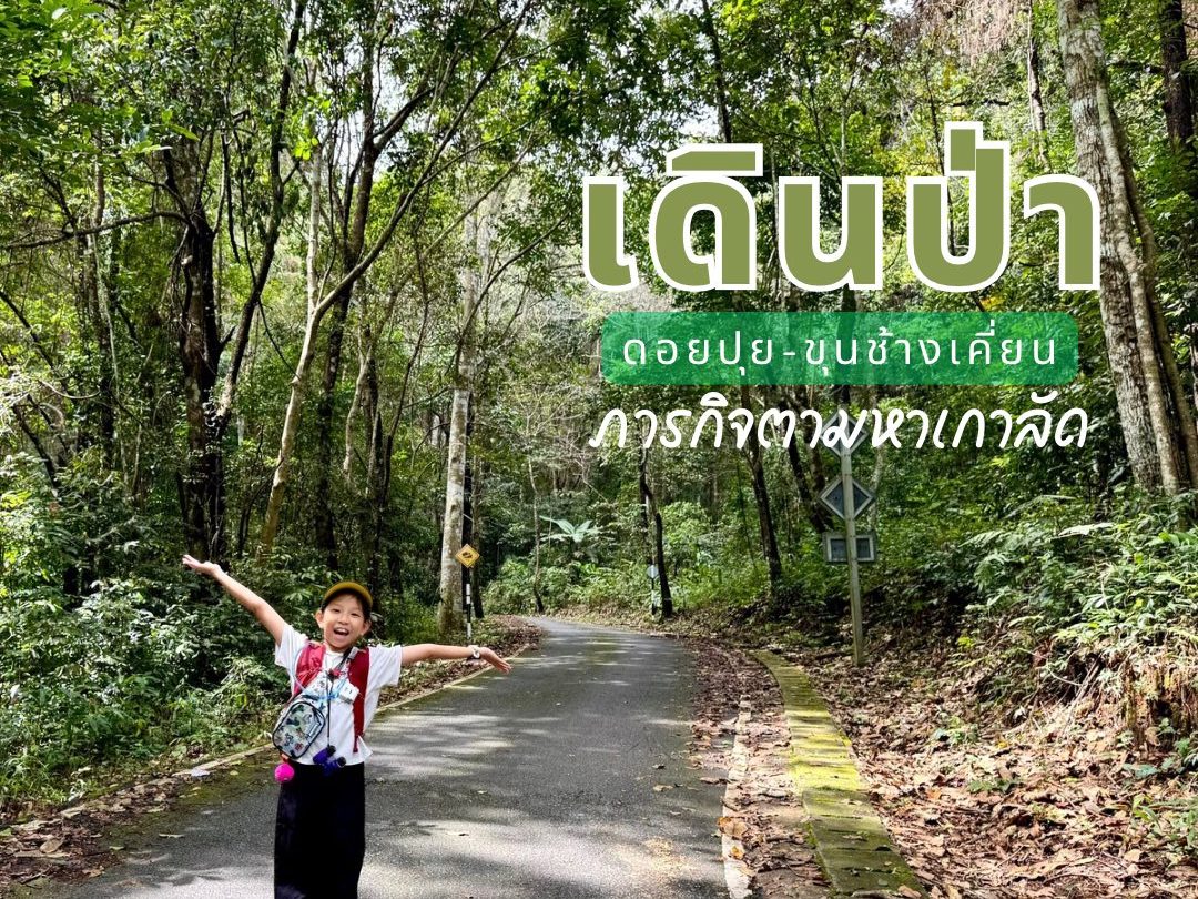 เดินป่าดอยปุย-ขุนช้างเคี่ยน