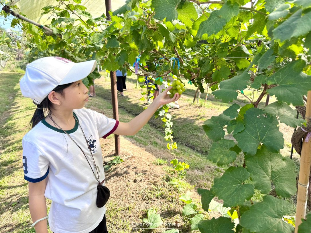 สวนองุ่นอิ่มสุข