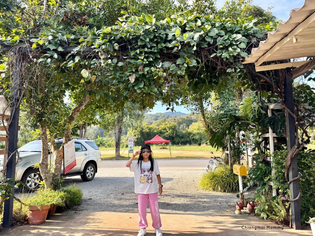 ไร่องุ่นหอมแผ่นดิน