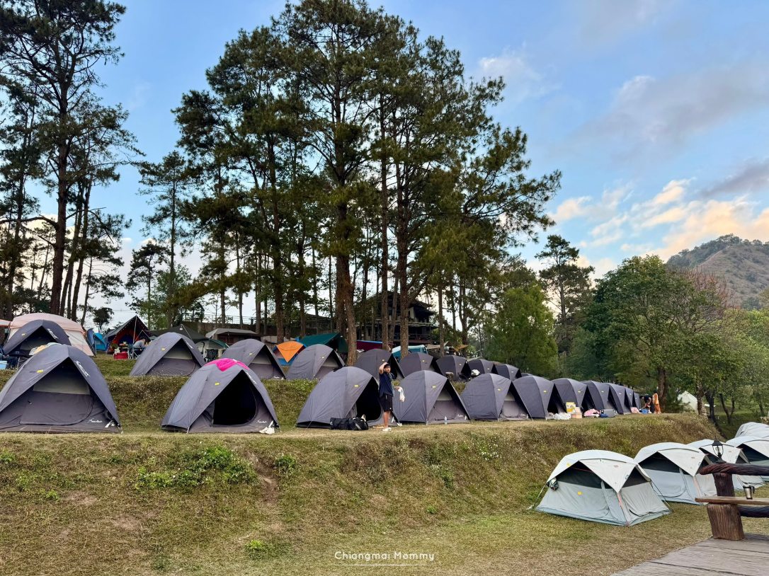 จุดชมวิวม่อนสน อ่างขาง