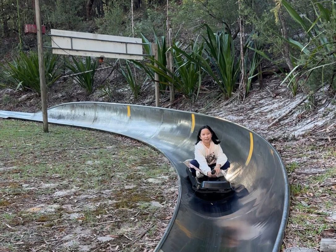 Toboggan Hill Park