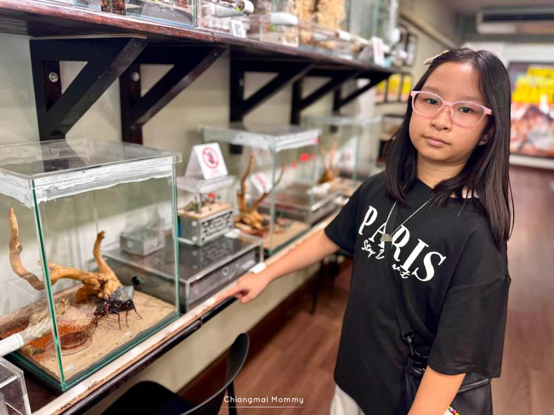 Keeping Ant Cafe
